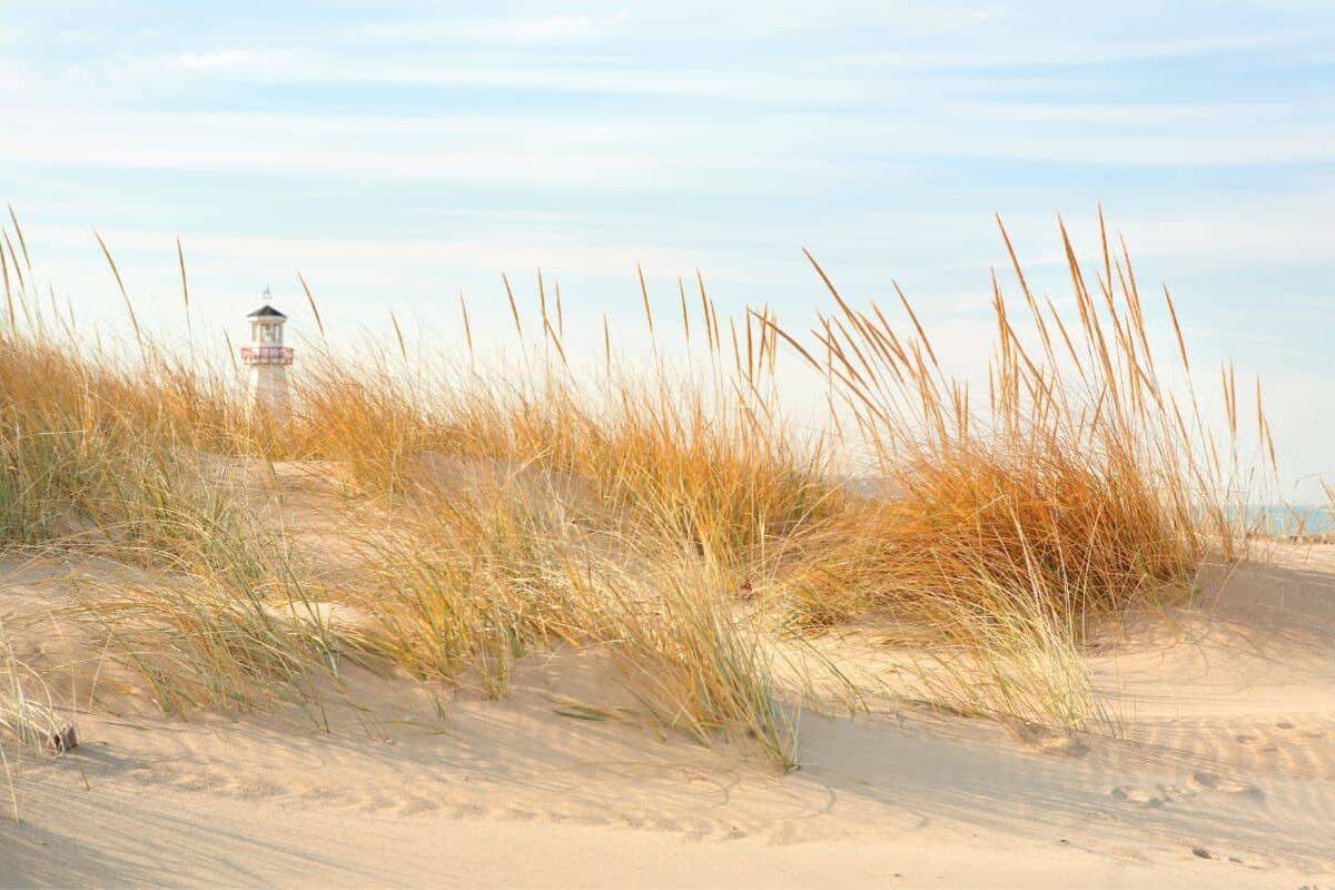 the new buffalo beach in michigan with a lighthouse