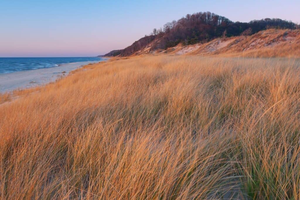 hiking trail along saugatuck dunes 