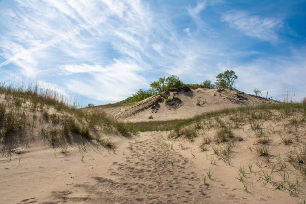 hiking trails at warren dunes state park