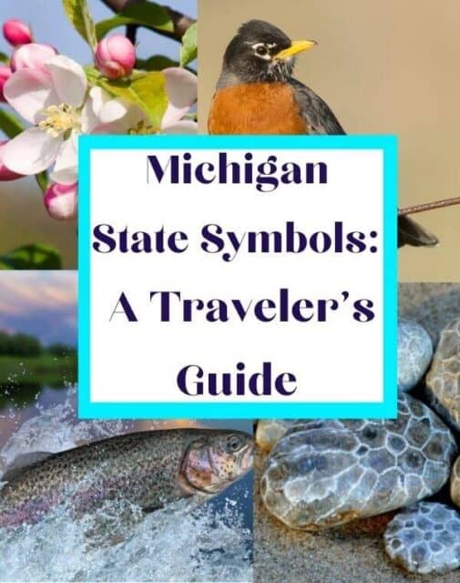 Michigan State Symbols A Travel's Guide My Michigan Beach and Travel