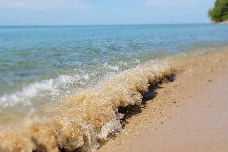 Traverse City beaches are northern michigan's top attractions