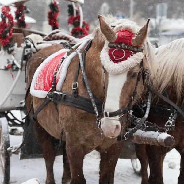 Frankenmuth Christmas Visit Michigan's Christmas Town