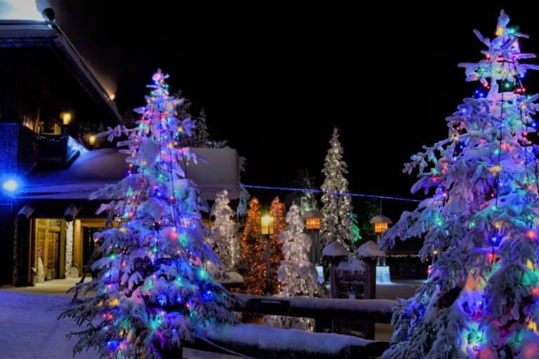 A christmas tree lighting on a dark night