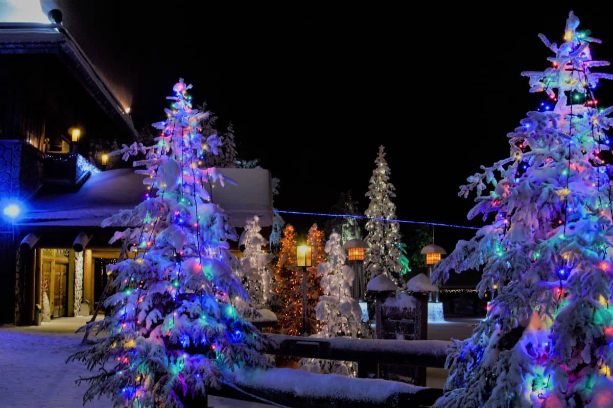 A christmas tree lighting on a dark night