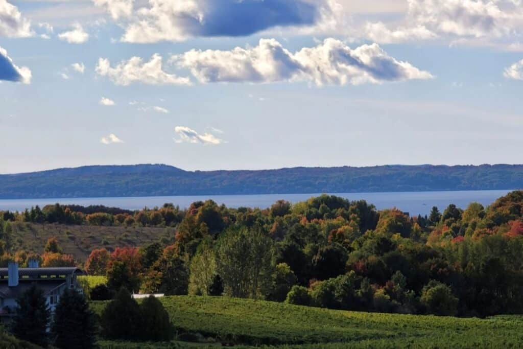 view of traverse city's west bay with vineyard in background