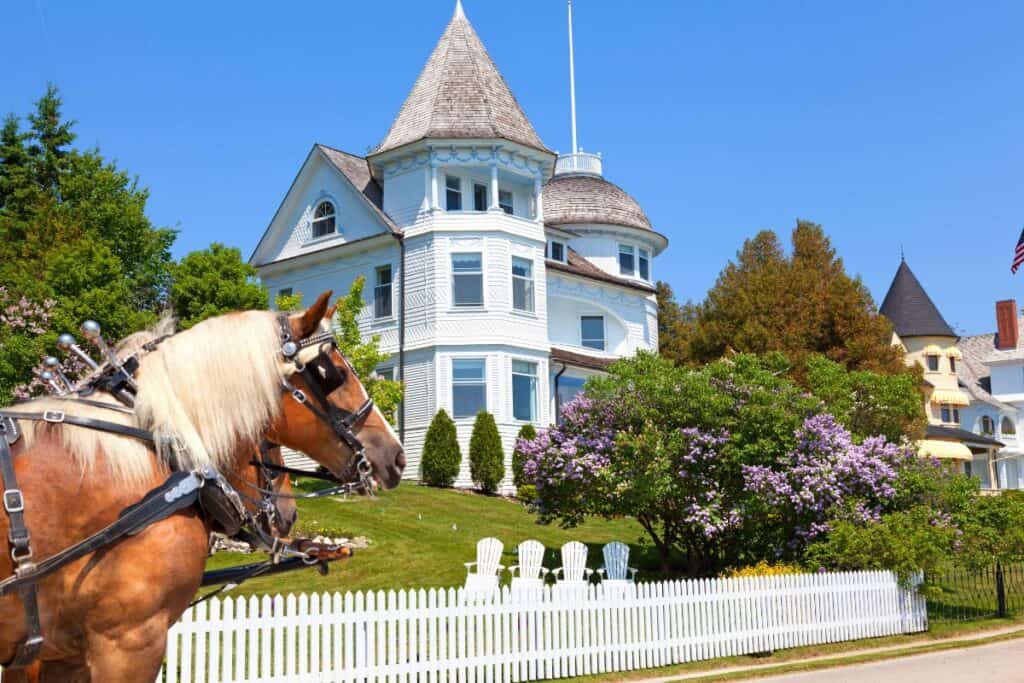picture of horse passing mackinac island lilacs