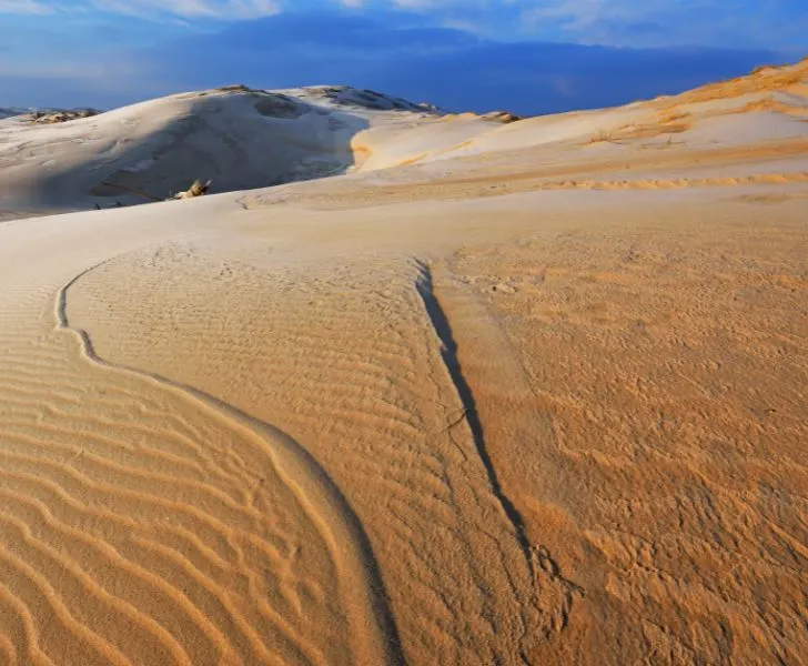 are dogs allowed in silver lake sand dunes