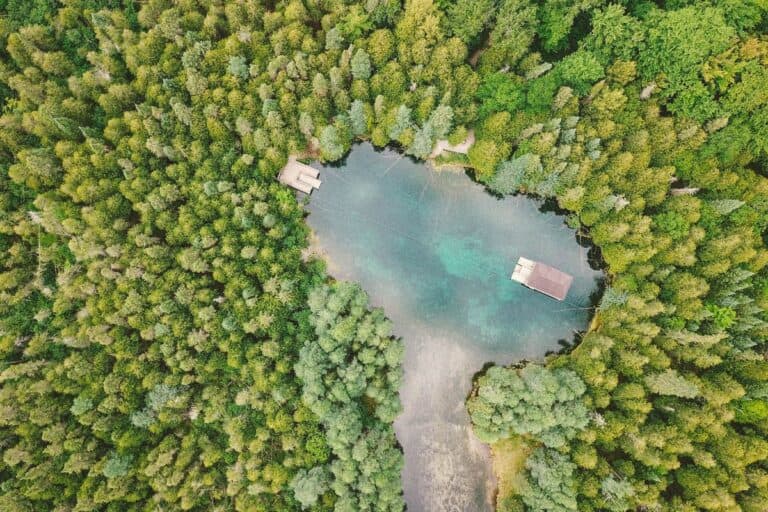 overhead view of kitch iti kipi