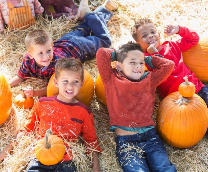 BEST Fall Festivals in Michigan Your Ultimate Guide to Michigan Fall