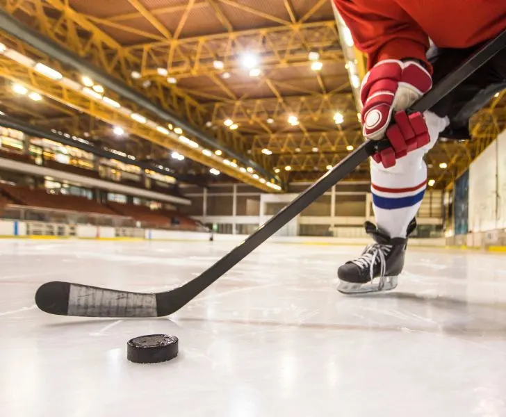 Ultimate Guide to Michigan Sports Teams | My Michigan Beach and