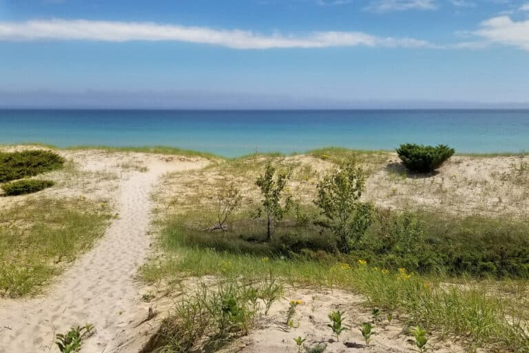 Path to sandy beach and blue Water