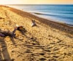 Whitefish Point Lighthouse: What to See (Lake Superior, Shipwreck ...