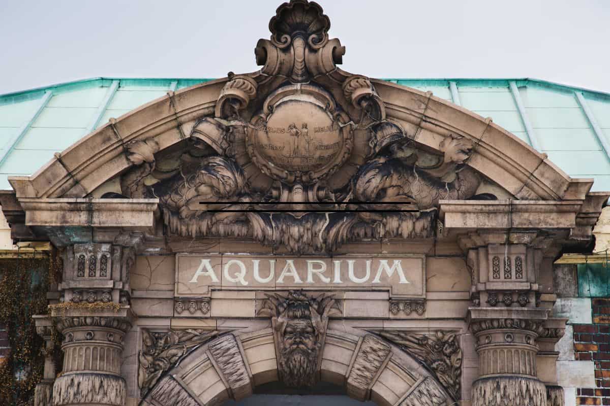 the belle isle aquarium in detroit