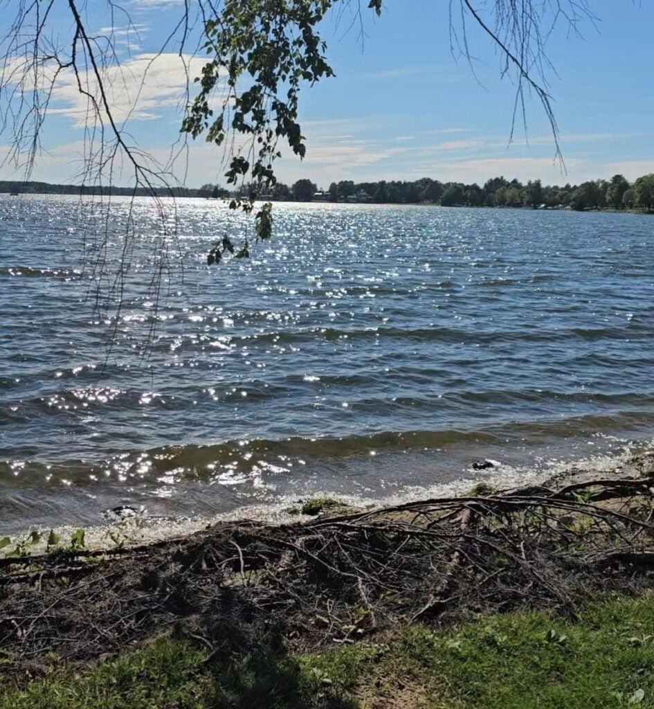 Sunlight sparkling on Lake Cadillac seen through overhanging branches from the grassy shore in Cadillac, Michigan