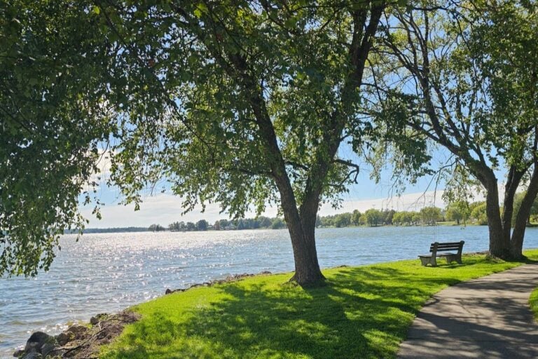 Park bench under shade trees beside a paved path along the Lake Cadillac shoreline in Cadillac, Michigan