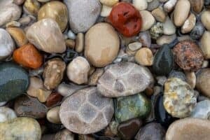 michigan rocks on abeach including petoskeys. leland blues and agates.