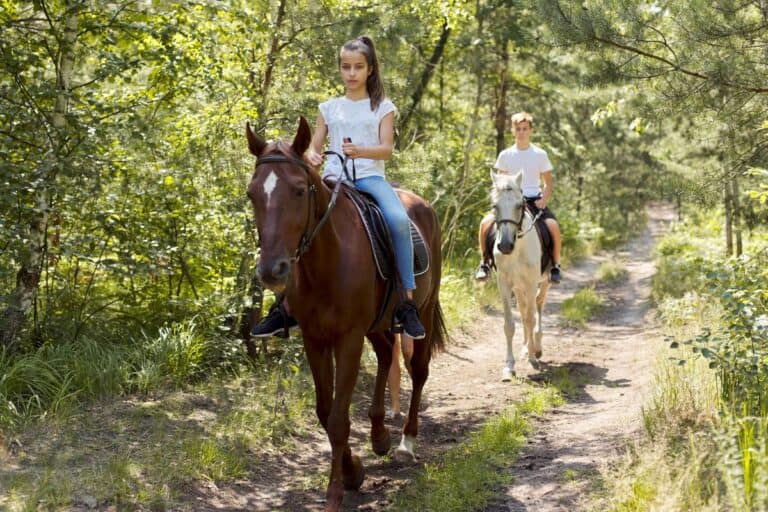 horseback riding in michigan