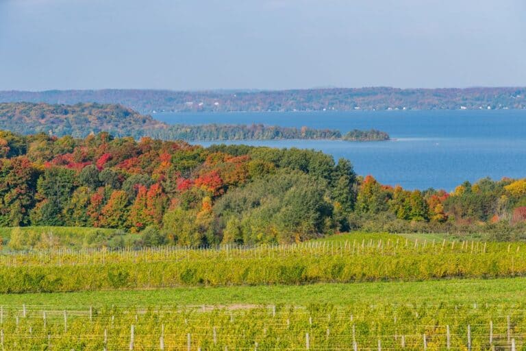 View of bay with colorful leaves on old mission peninsula