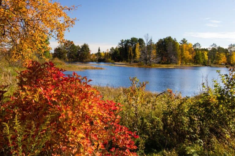 upper michigan in the fall - map of upper michgan