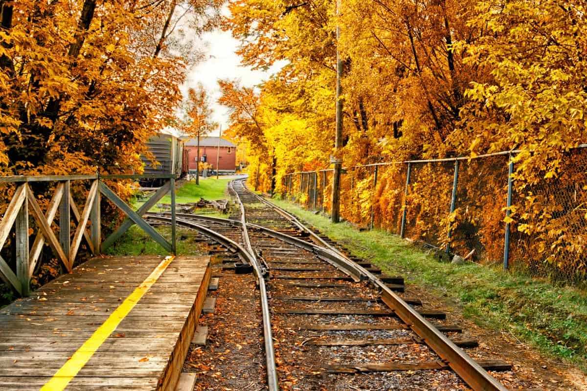 railroad tracks surrounded by colorful fall trees