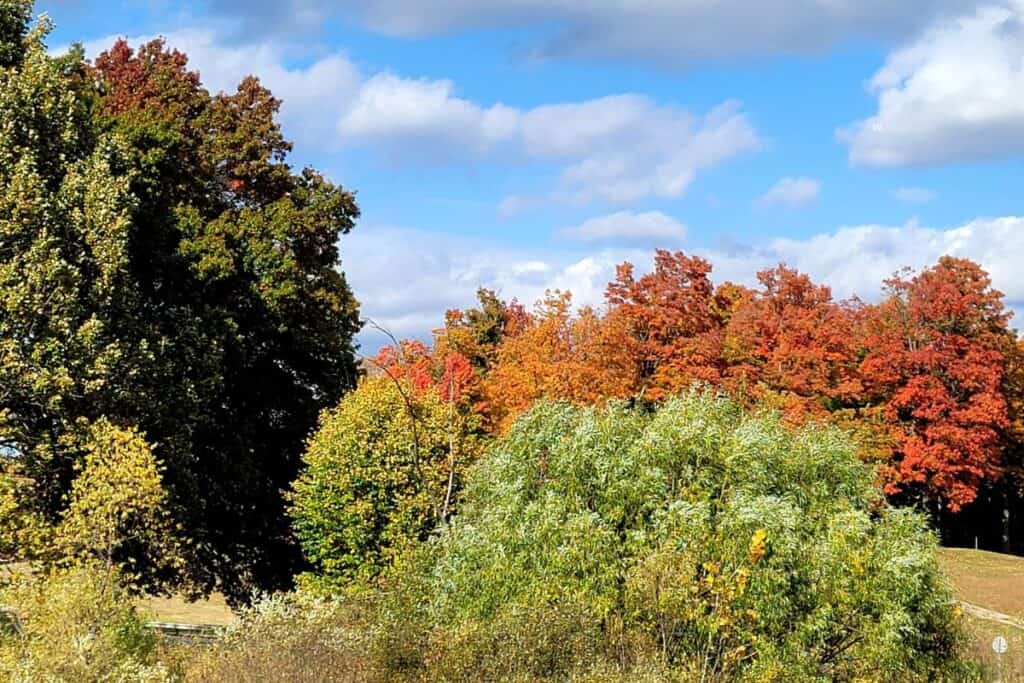 beautful fall foliage alonf a Michigan fall color drive 
