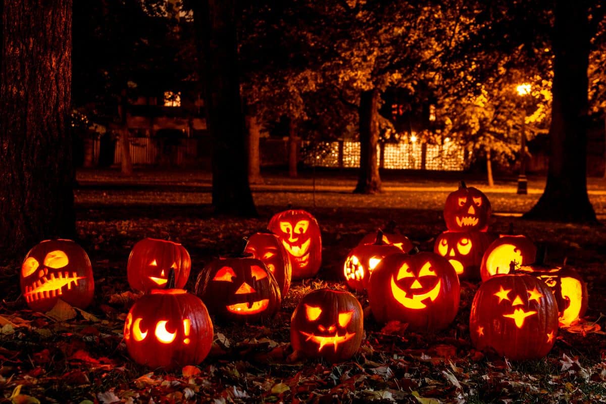 a gunch of trick or treat pumpkins for things to do in metro detroit for halloween
