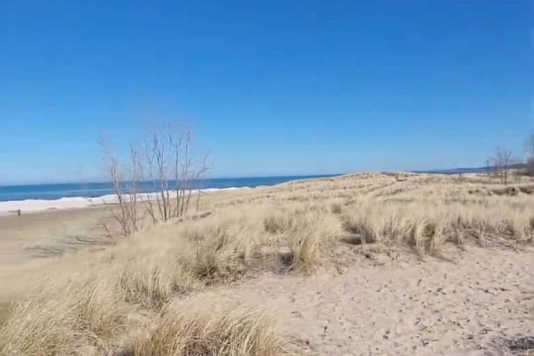 winter in harbor country michigan