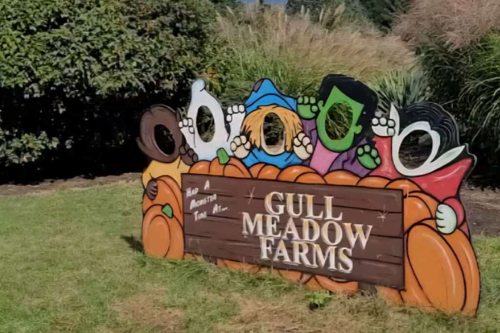 gull meadow farms in michigan 