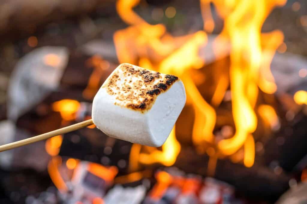 Roasting marshmallows over a crackling bonfire on a Lake Michigan beach at Sleeping Bear Dunes