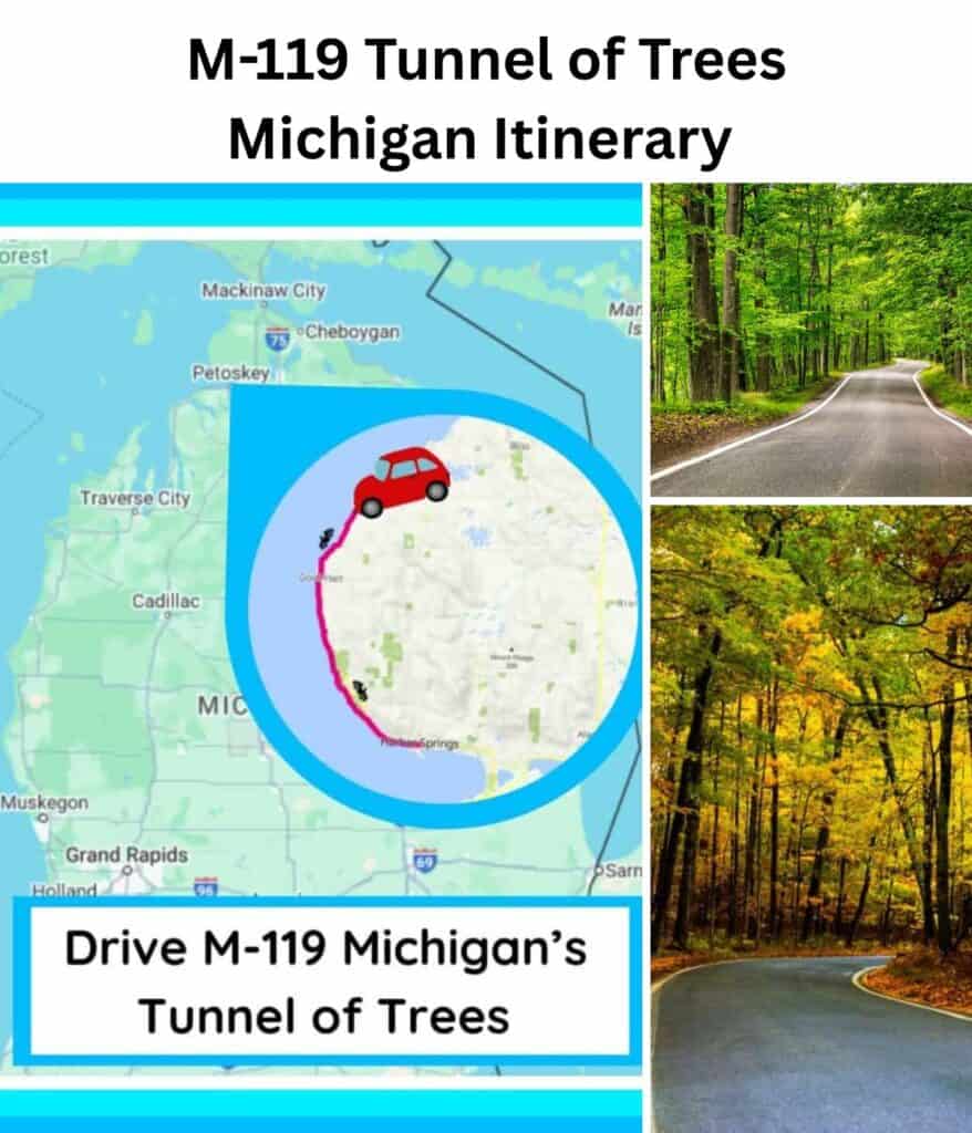 collage of michigan tunnel of trees photos 
