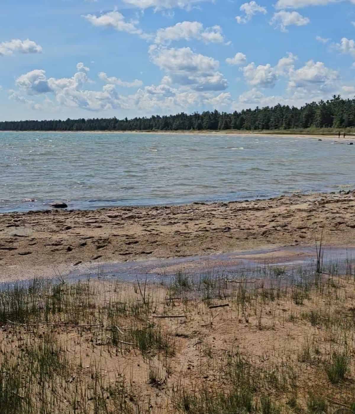 Negwegon State Park Guide: Camping, Hiking & Dark Sky Preserve on