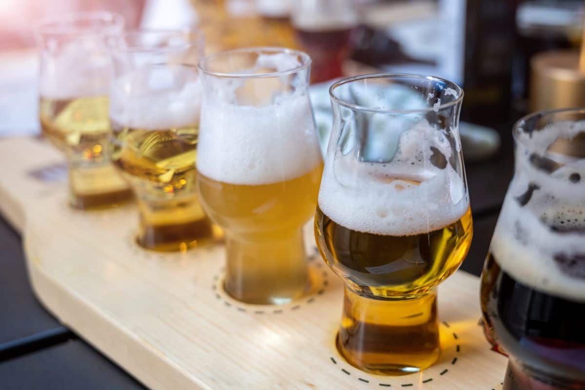 a flight of craft beer on a table for the traverse city breweries