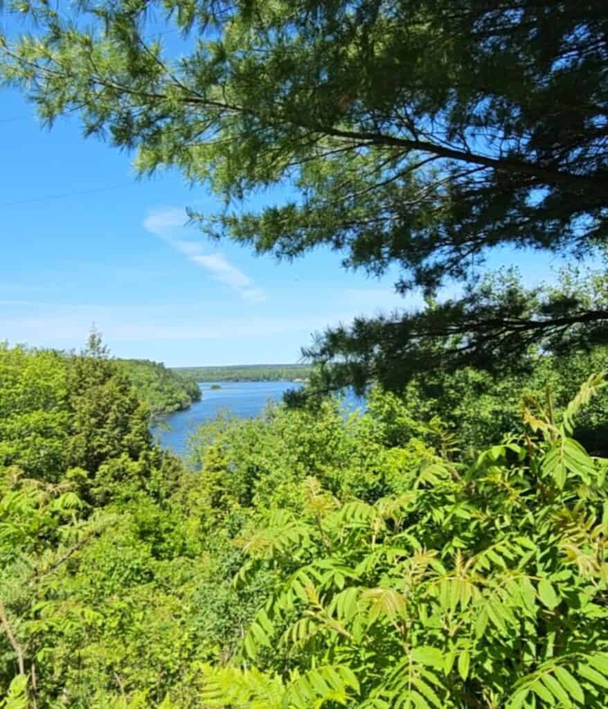 Summer view of the AuSable River valley from the bluff-top overlook at Lumberman's Monument along the River Road Scenic Byway in Oscoda, Michigan