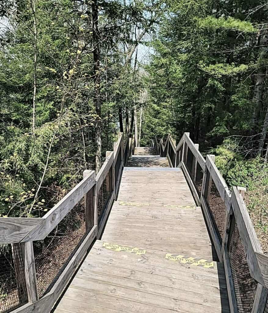 Wooden stairway at Lumberman's Monument descending 260 steps through pine forest to the AuSable River in Oscoda, Michigan