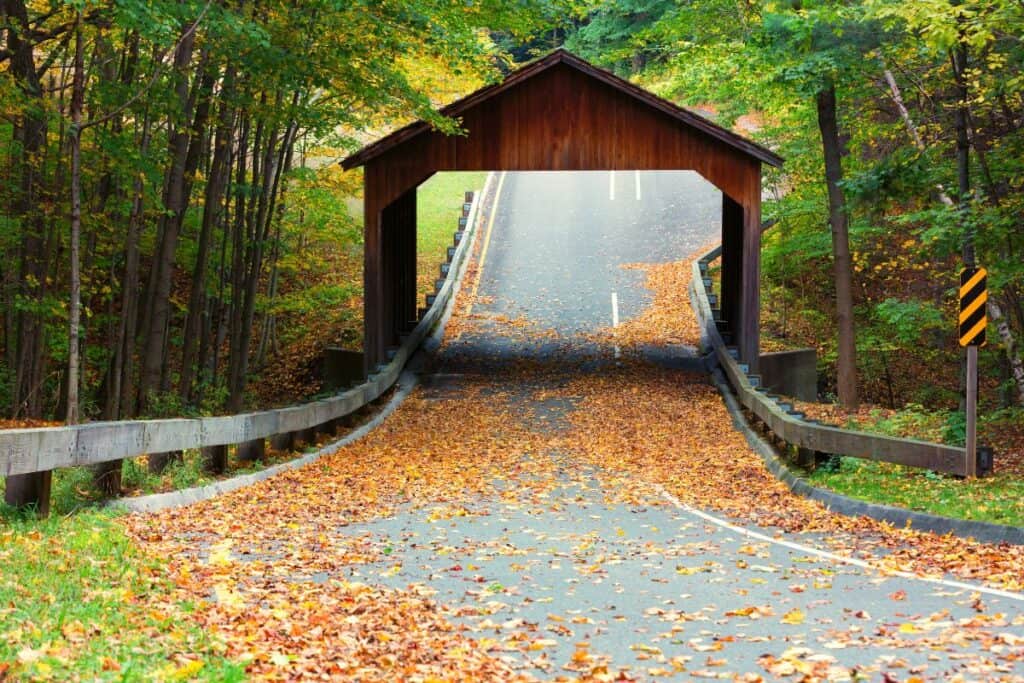 Pierce Stocking Scenic Drive covered bridge at Sleeping Bear Dunes covered in fall leaves with autumn foliage in background