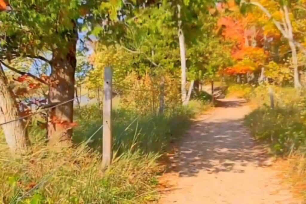 Sandy trail path at Sleeping Bear Dunes National Lakeshore lined with fall color trees in red orange and gold