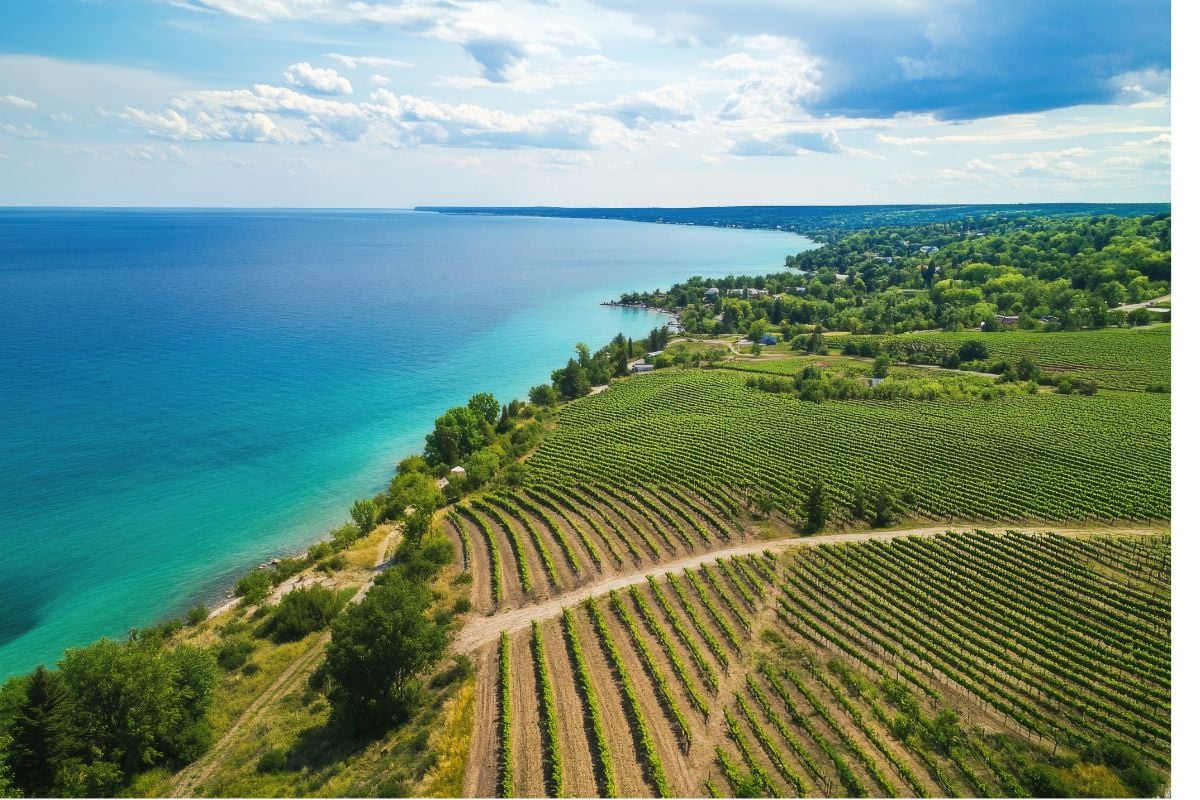 aerial shot of lake milchigan at traverse city - mymichiganbeach.com