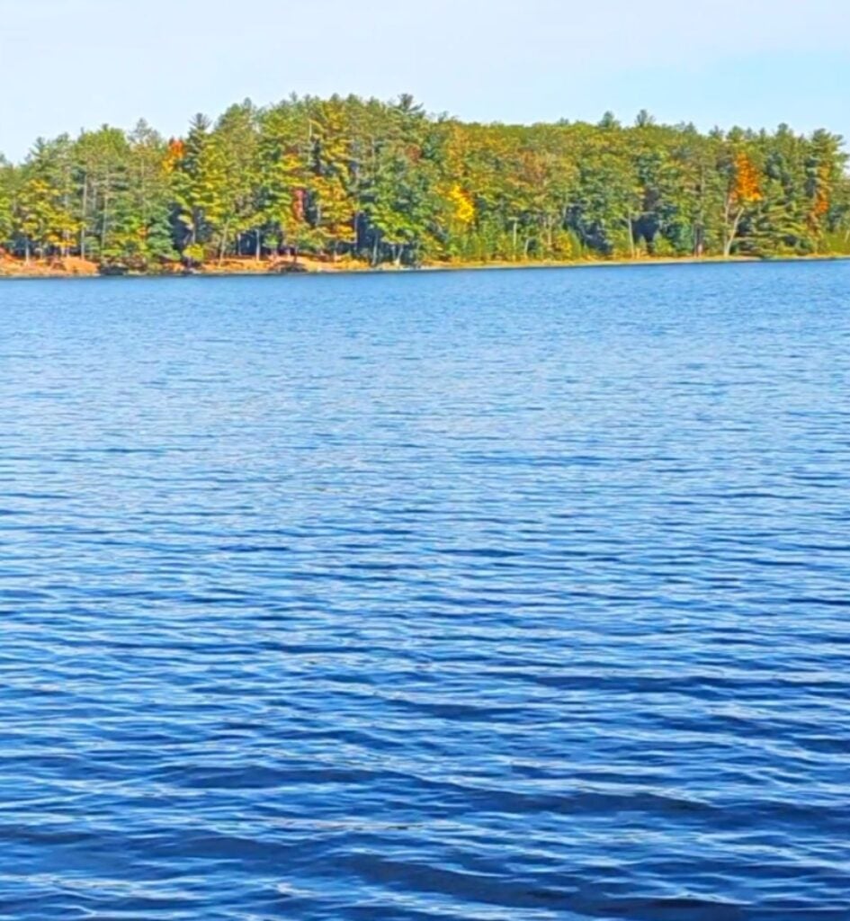 Wide blue water of the AuSable River with a forested shoreline showing early fall color near Oscoda, Michigan