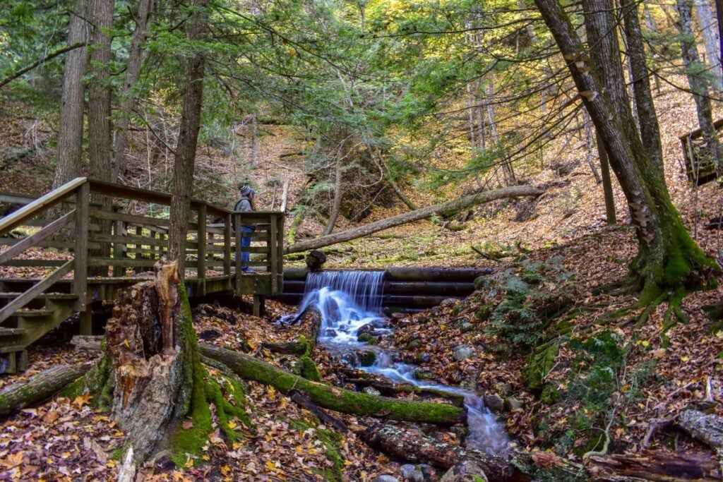 Wooden boardwalk beside a small waterfall and spring-fed stream at Iargo Springs, with fallen leaves, near Oscoda