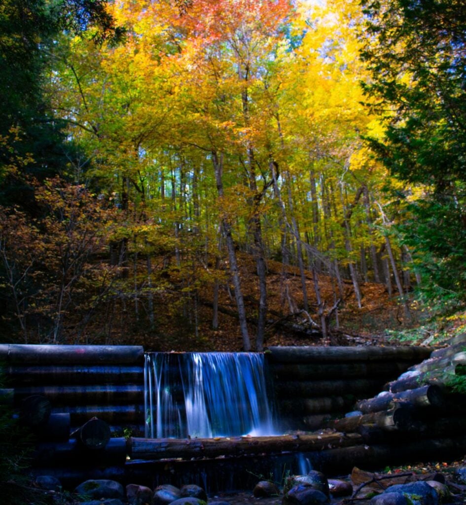 Water spilling over a log dam at Iargo Springs beneath yellow and orange fall color near Oscoda, Michigan