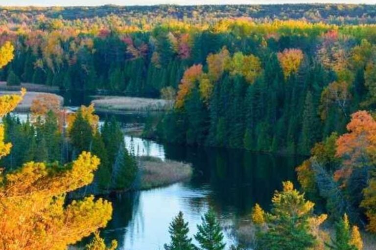 peak fall color in oscoda- where to stay in oscoda in the fall mymichiganbeach.com